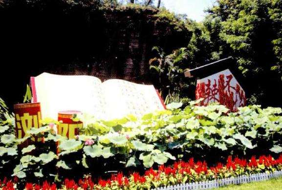 第34届全国荷花展园艺展区欣赏 上