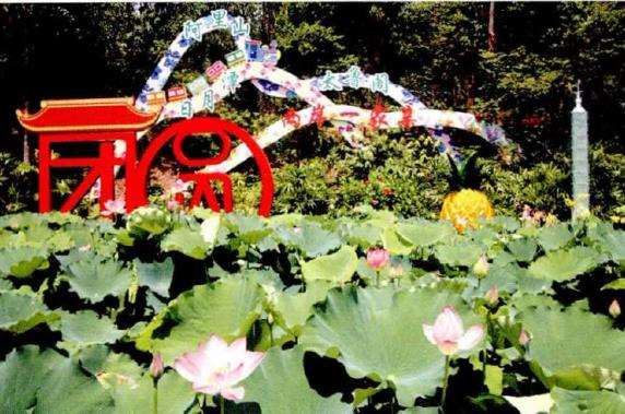 第34届全国荷花展园艺展区欣赏 上