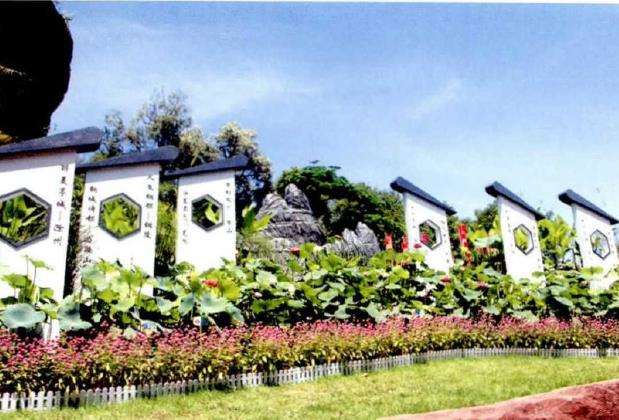 第34届全国荷花展园艺展区欣赏 上