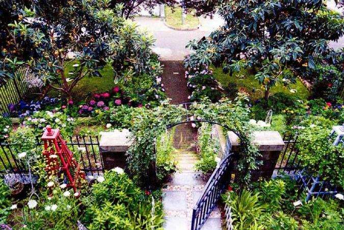 我是怎么自己设计花园的 图片