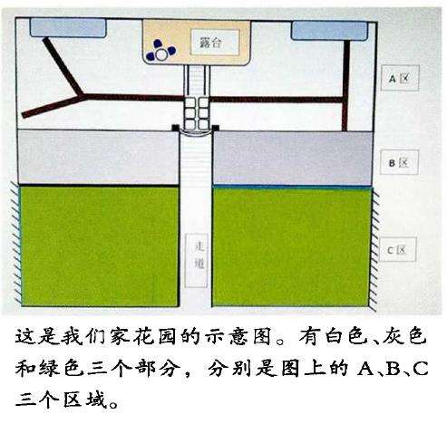 我是怎么自己设计花园的 图片