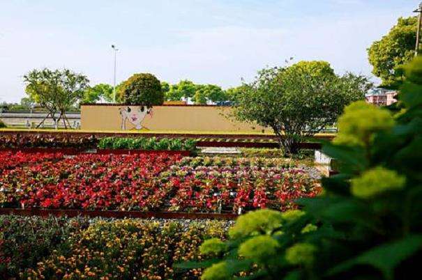 聚焦2020花园大会现场论坛