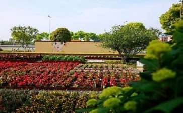 聚焦2020花园大会现场论坛 图片