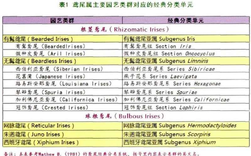 鸢尾属园艺学分类系统有哪些