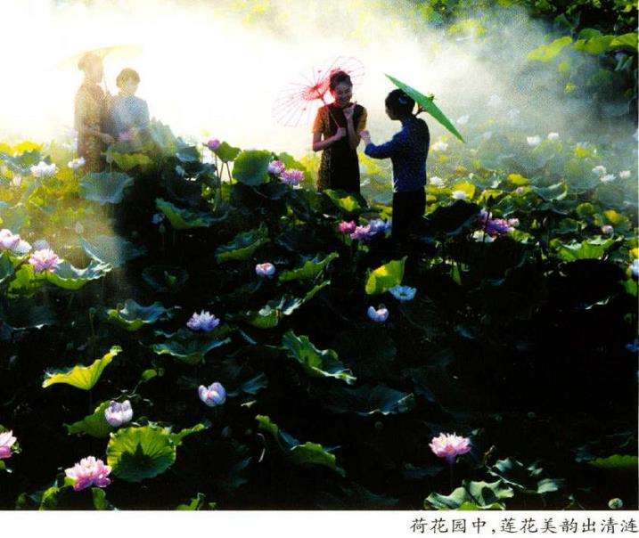 为什么湘潭盘龙大观园以花卉为特色