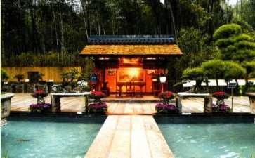 为什么湘潭盘龙大观园以花卉为特色 图片