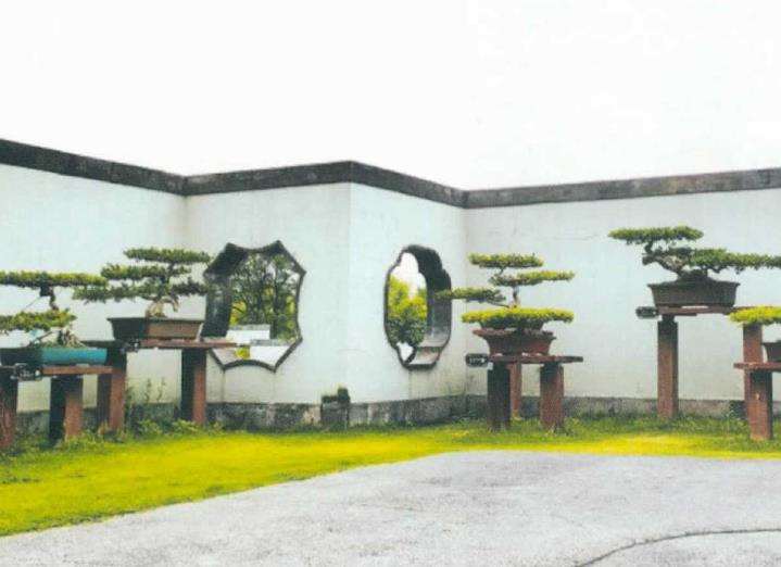 室外盆景怎么造景的3个方法 图片