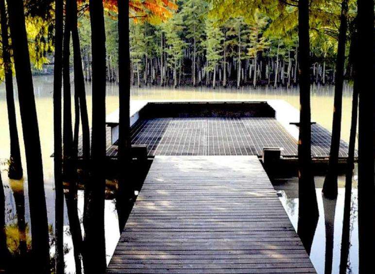 植物景观空间怎么营造的4个步骤