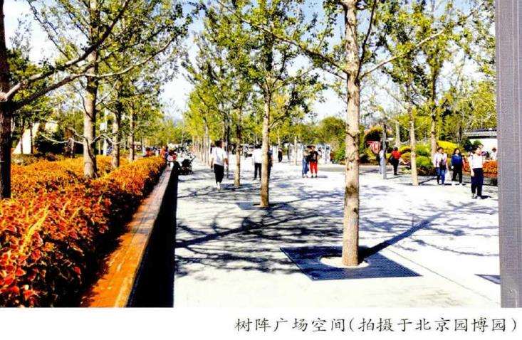 植物景观空间怎么营造的4个步骤