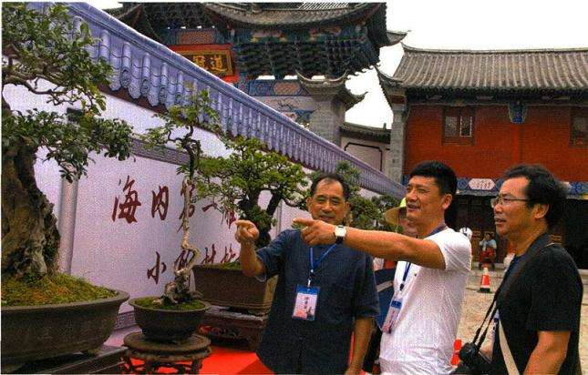 第七届云南通海盆景艺术展