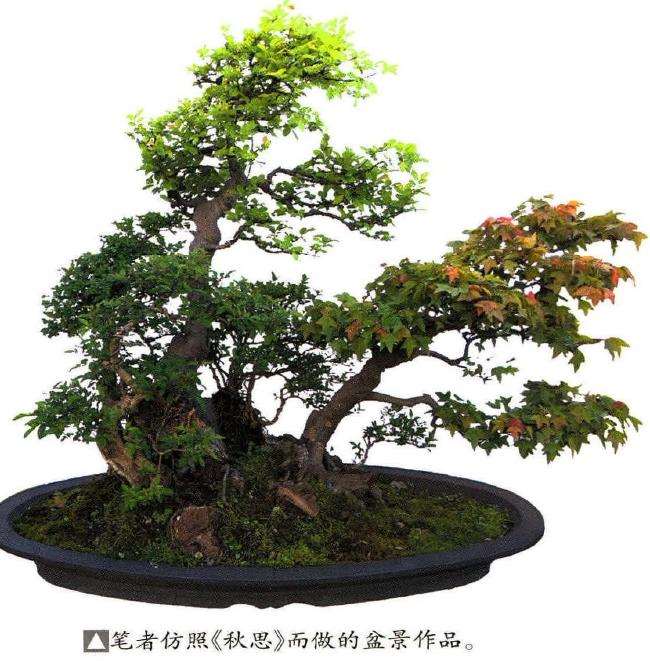 纪念盆景大师贺淦荪逝世3周年