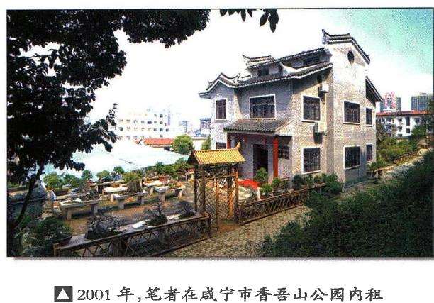 图解 冯连生怎么制作树石盆景的5个步骤