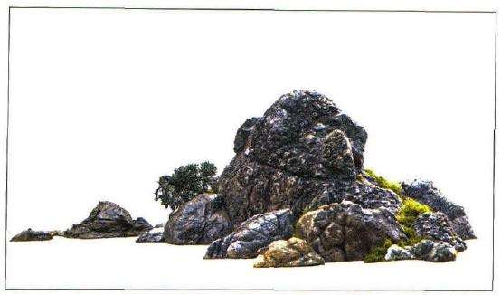 图解 冯连生怎么制作树石盆景的5个步骤
