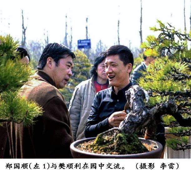 安庆盆景考察图纪