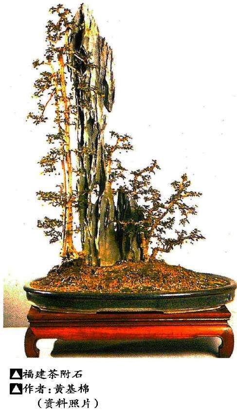 树石盆景