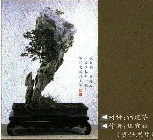 树石盆景