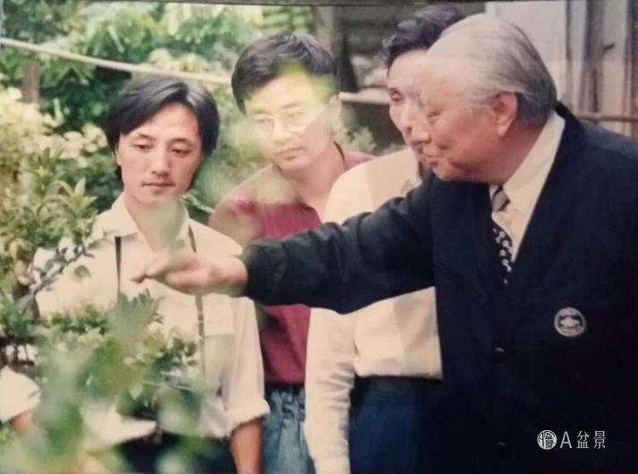 我有幸结识盆景艺术大师贺淦荪先生