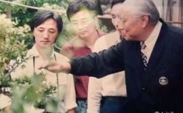 我有幸结识盆景艺术大师贺淦荪先生