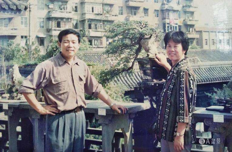 盆景恩师贺淦荪先生已离开三年 图片