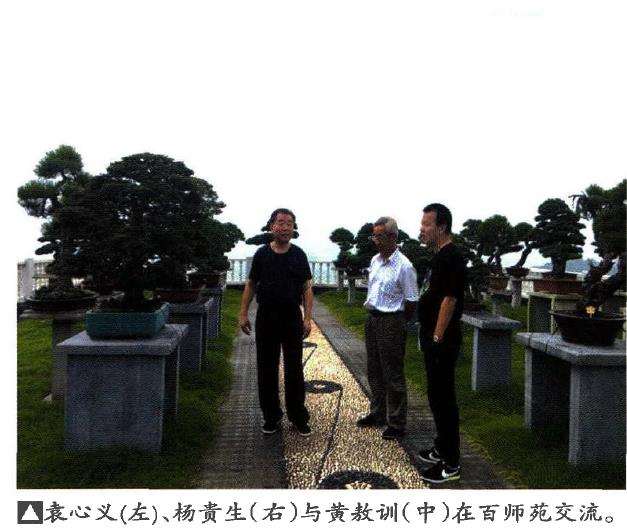 谈宁波袁心义盆景园