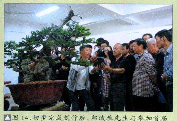 图解 台湾真柏盆景怎么舍利丝雕的15个步骤