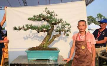 浙江省台州选拔参加七博会盆景精品
