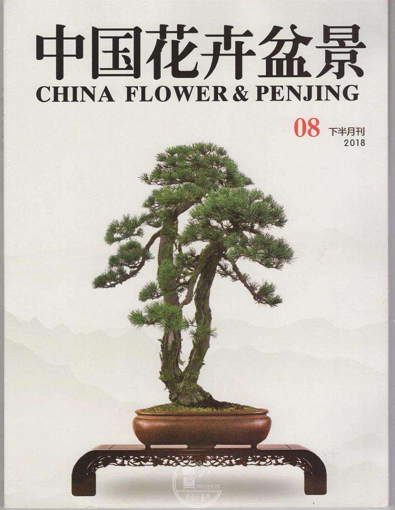 《花木盆景》教会我认识盆景以及怎样做人