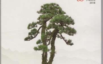 《花木盆景》教会我认识盆景以及怎样做人