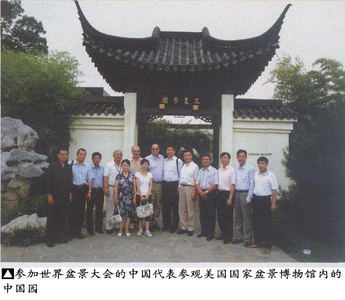 2009 华盛顿世界盆景大会全 图片