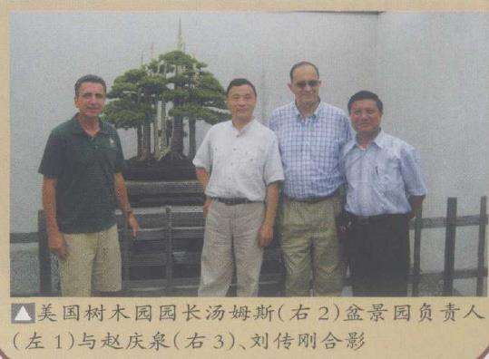 2009 华盛顿世界盆景大会全 图片