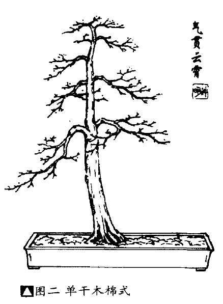 怎样提高盆景立意构图的3个方法 图片