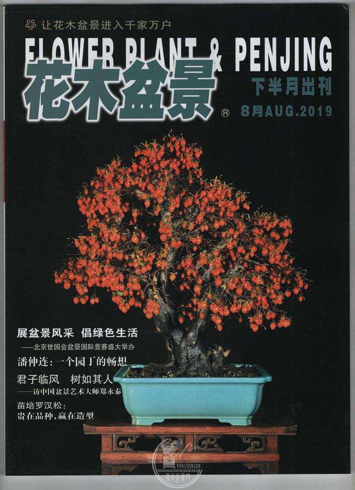 《花木盆景》杂志提高了我的艺术修养