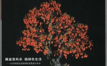 《花木盆景》杂志提高了我的艺术修养