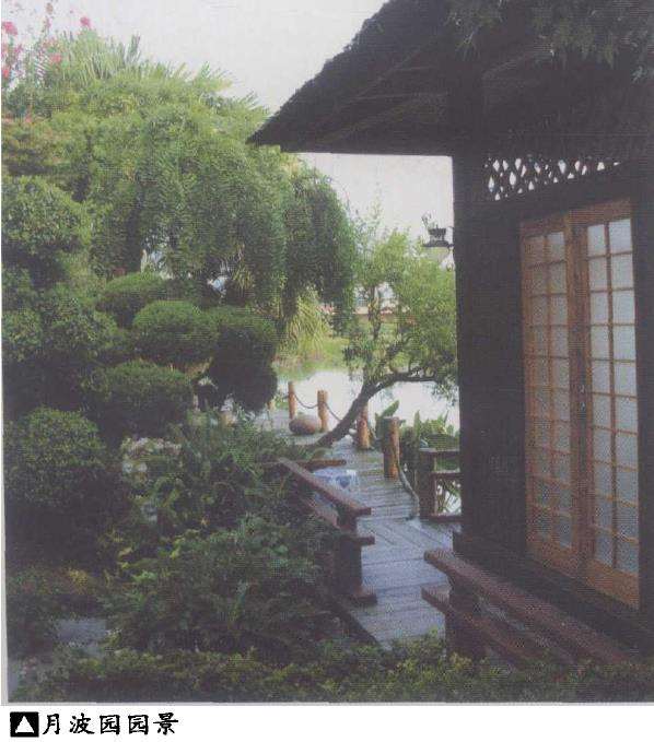 我的月波盆景园营造手记