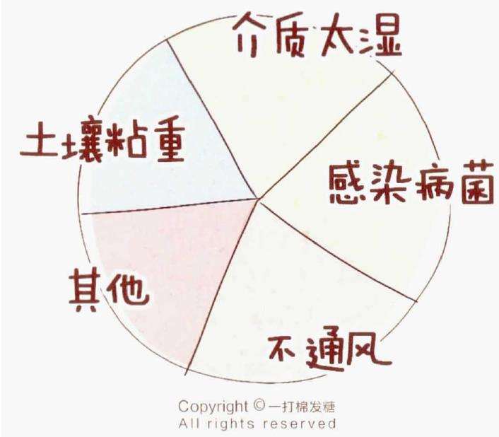 草莓盆栽植株的死亡因素有哪些