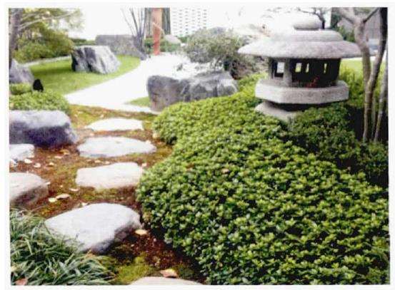 庭院园艺心灵的栖息地 