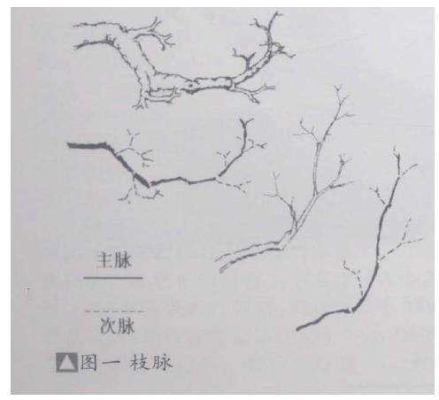 盆景脱衣换锦法