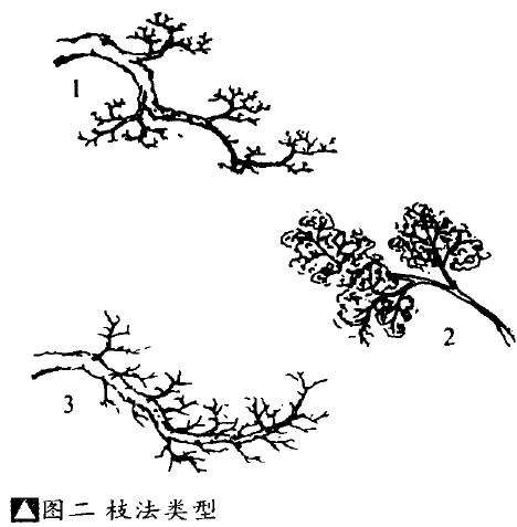 盆景虚枝实叶法