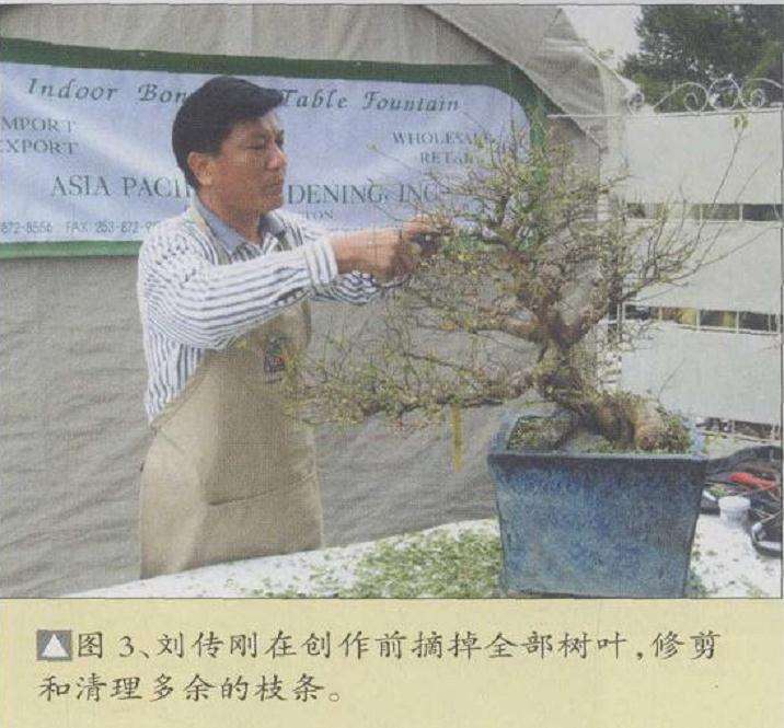 图解 刘传刚在美国作盆景创作示范表演