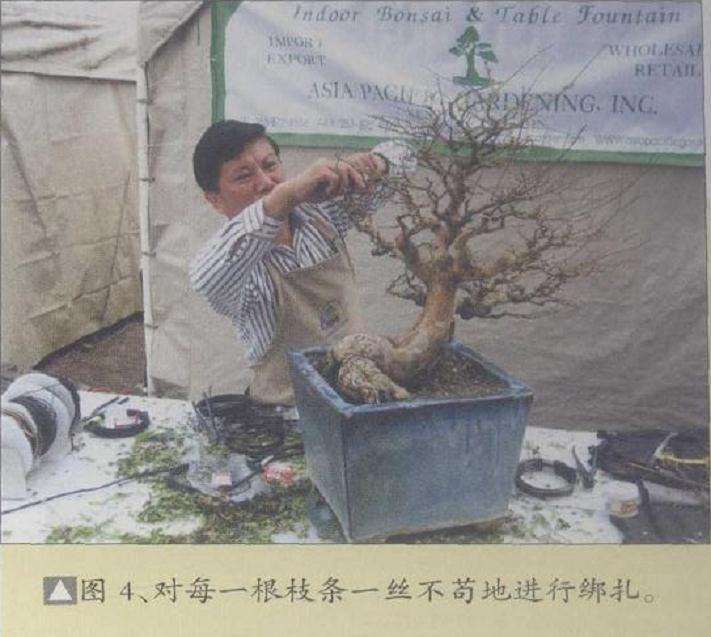 图解 刘传刚在美国作盆景创作示范表演