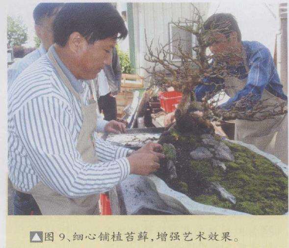 图解 刘传刚在美国作盆景创作示范表演