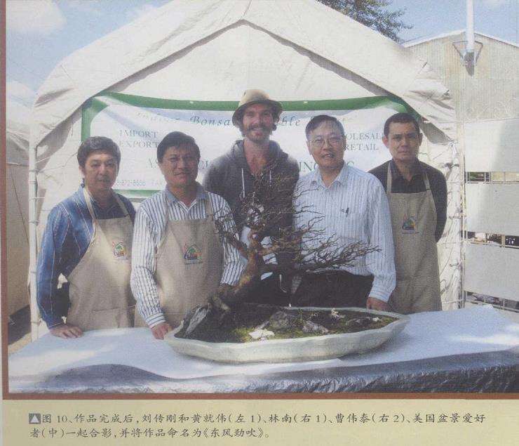 图解 刘传刚在美国作盆景创作示范表演