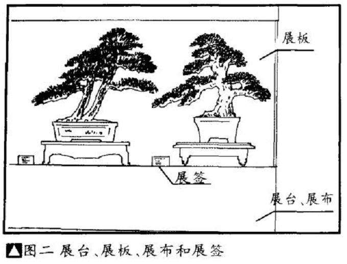 盆景运输中怎么减缓震荡