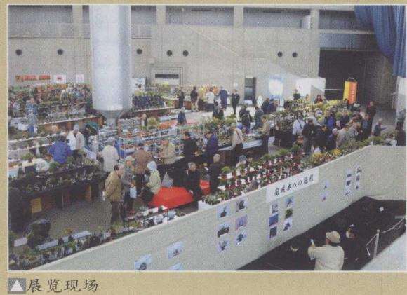 日本第十七届春雅盆景展