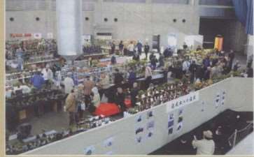 2009年 日本第十七届春雅盆景展