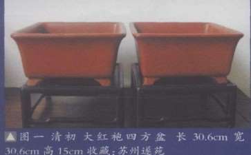 下面我们就来鉴赏两个盆景盆型 图片