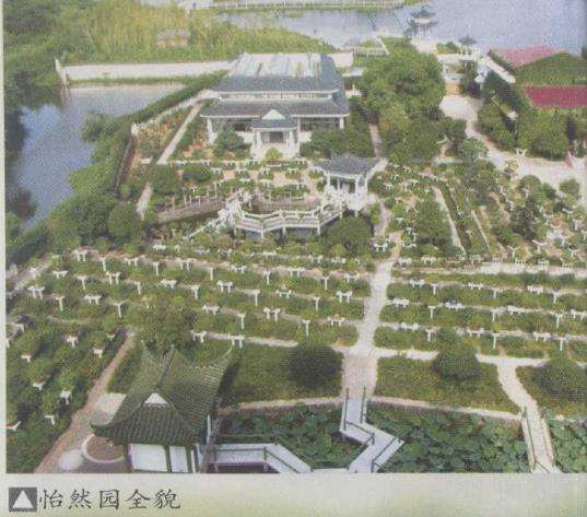 记鲍世骐和他的鲍家盆景园 图片