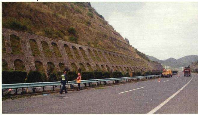 竹山县万株塔柏苗绿化谷竹高速沿线可视荒山