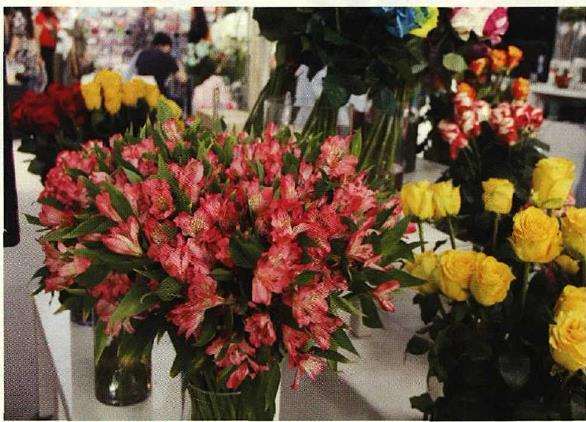 第二十届中国国际花卉园艺展览成功举办