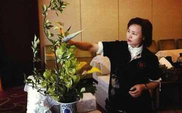 匠心独运插花人访中国插花花艺协会